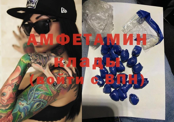 ПСИЛОЦИБИНОВЫЕ ГРИБЫ Дмитриев