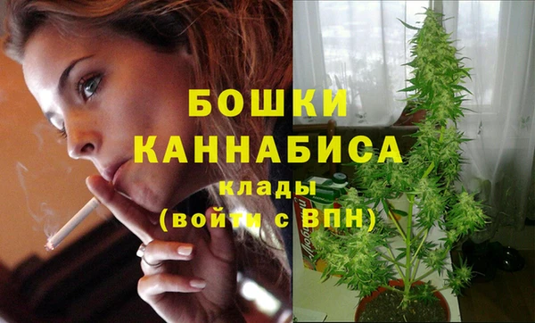 ПСИЛОЦИБИНОВЫЕ ГРИБЫ Дмитриев