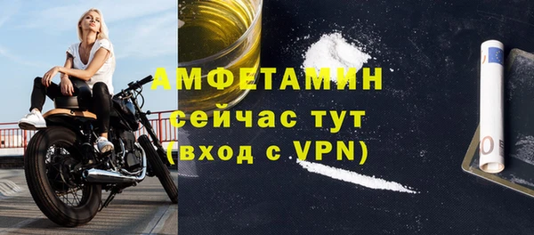ПСИЛОЦИБИНОВЫЕ ГРИБЫ Дмитриев