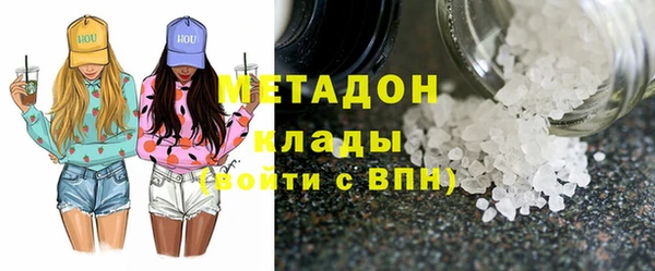 ПСИЛОЦИБИНОВЫЕ ГРИБЫ Дмитриев